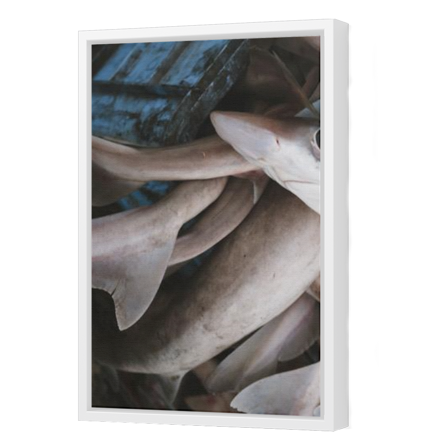 Thumbnail for Canvas - White Floating Frame