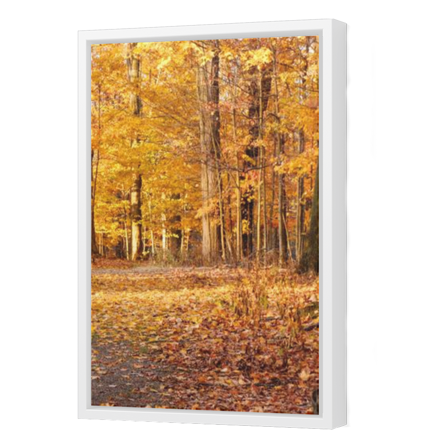 Thumbnail for Canvas - White Floating Frame