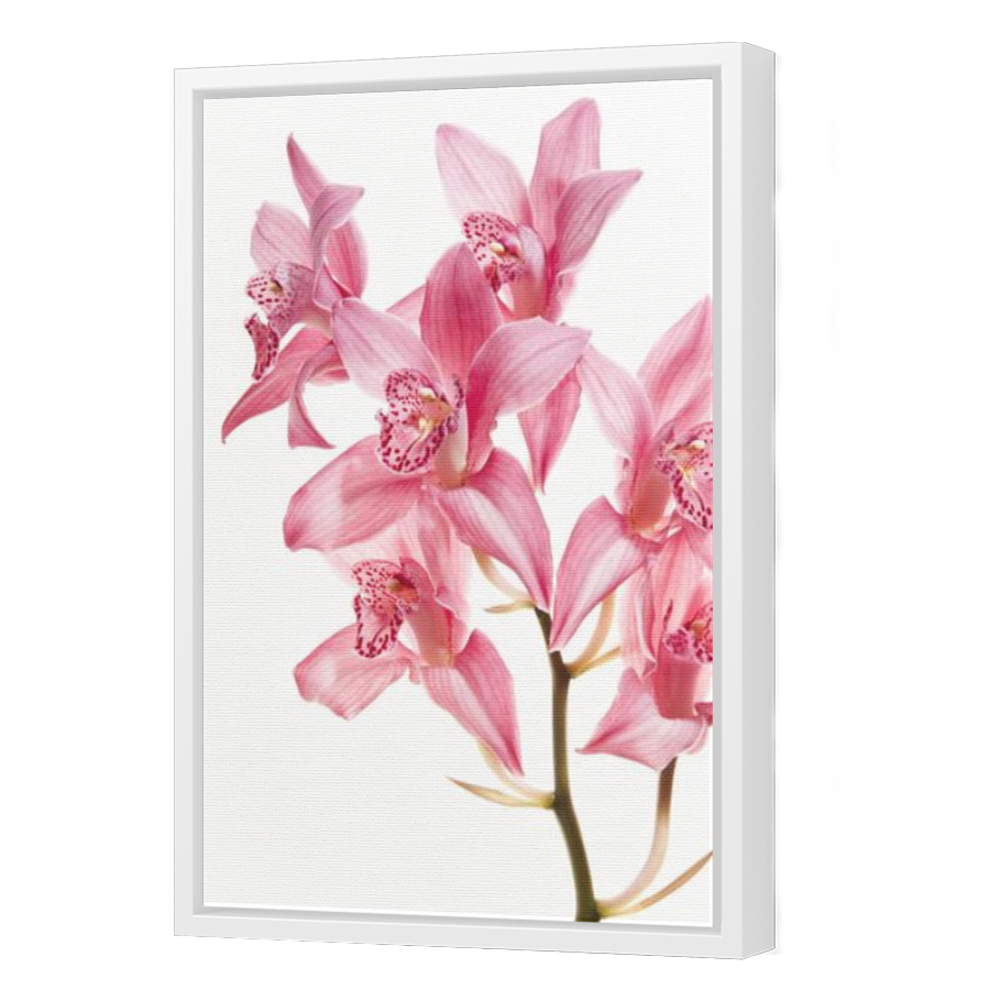 Thumbnail for Canvas - White Floating Frame