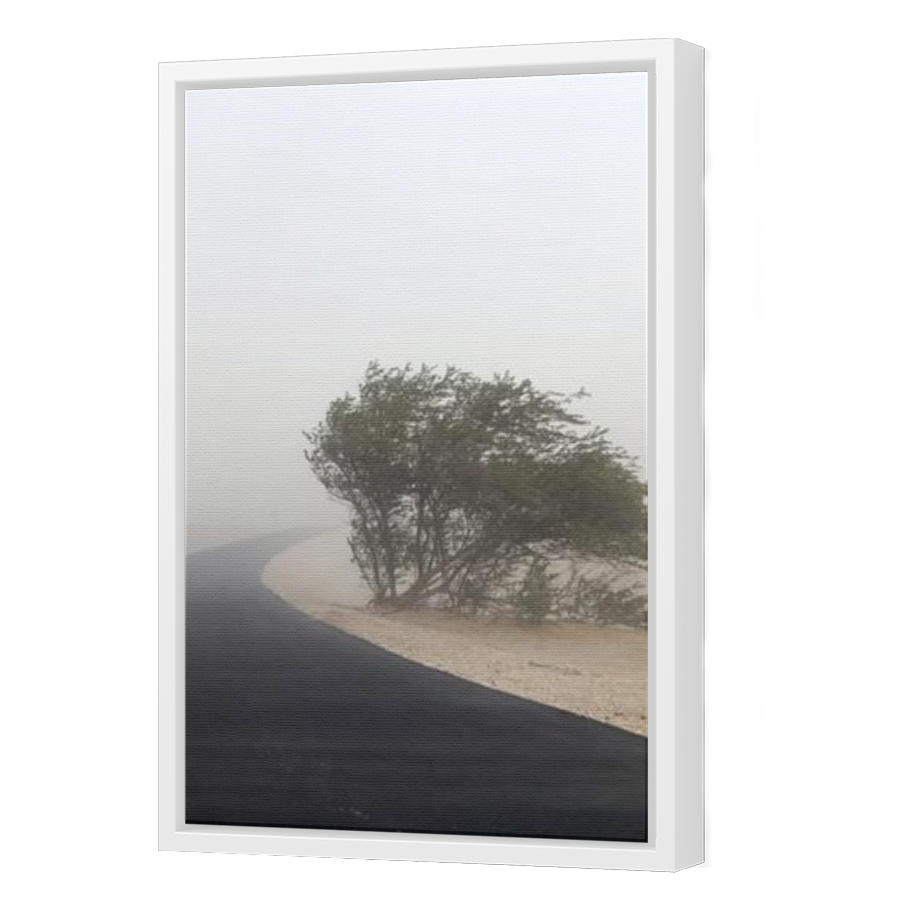 Thumbnail for Canvas - White Floating Frame