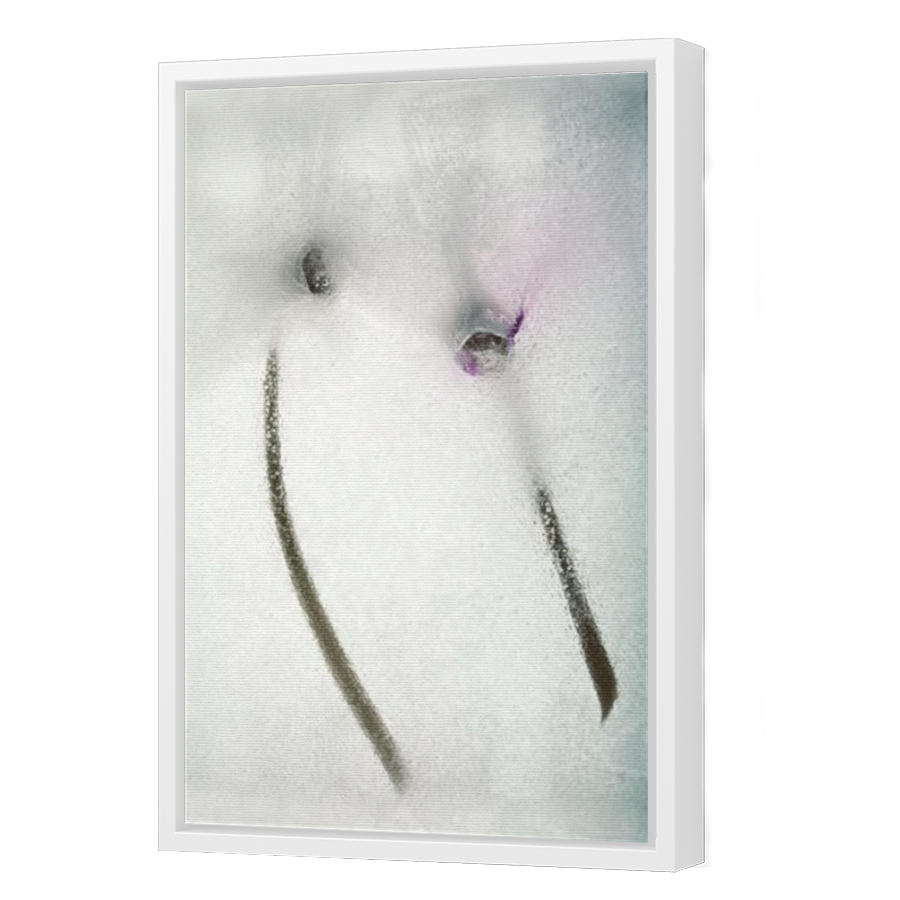 Thumbnail for Canvas - White Floating Frame