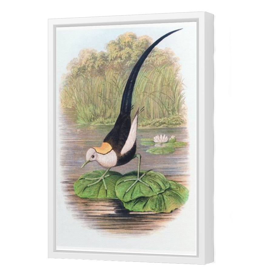 Thumbnail for Canvas - White Floating Frame