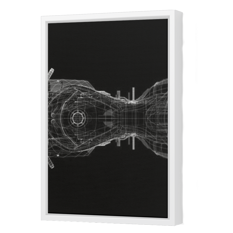 Thumbnail for Canvas - White Floating Frame