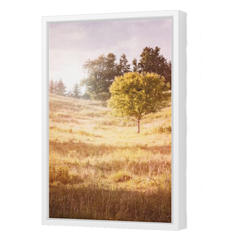 Thumbnail for Canvas - White Floating Frame