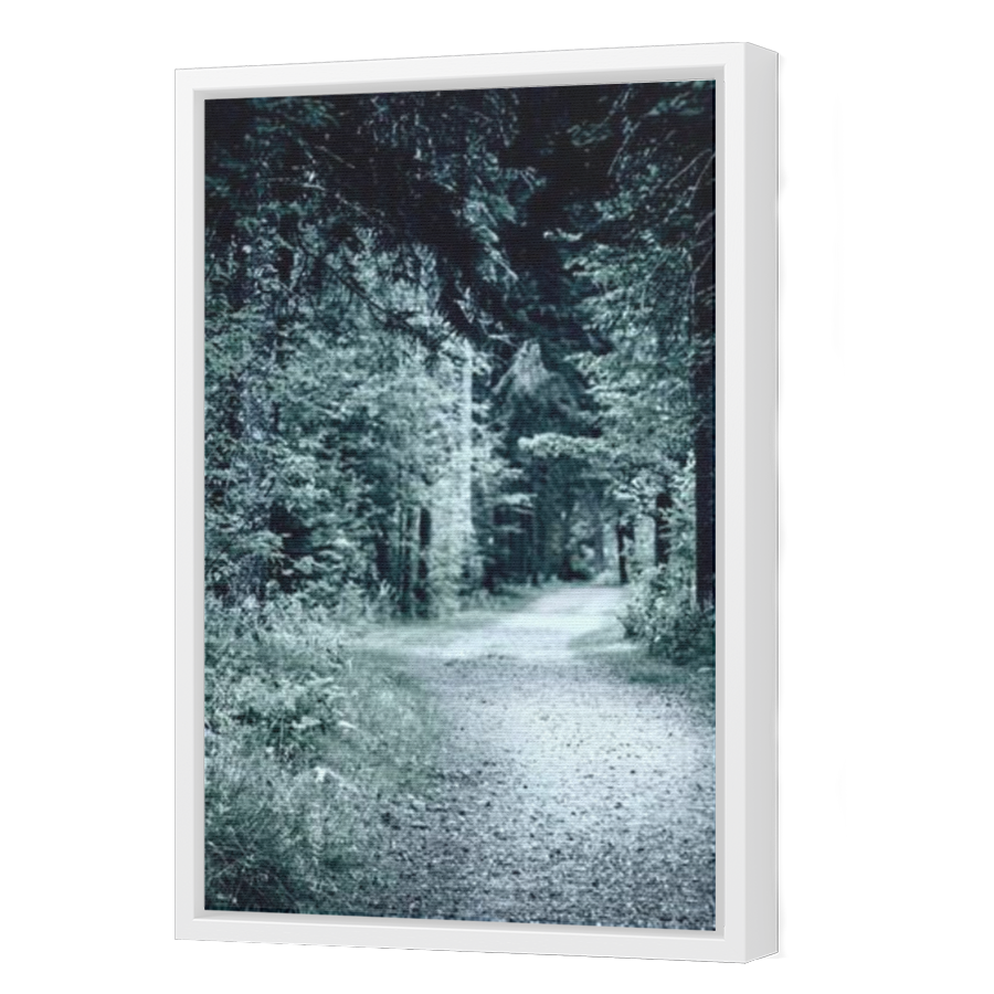 Thumbnail for Canvas - White Floating Frame