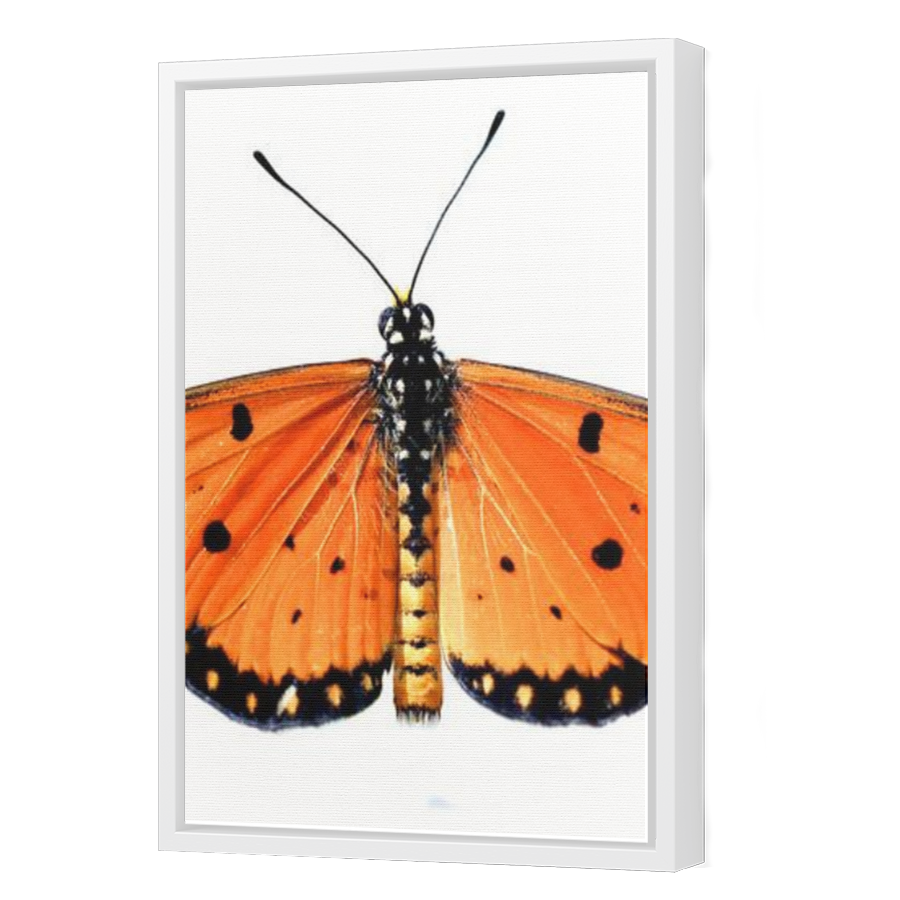 Thumbnail for Canvas - White Floating Frame