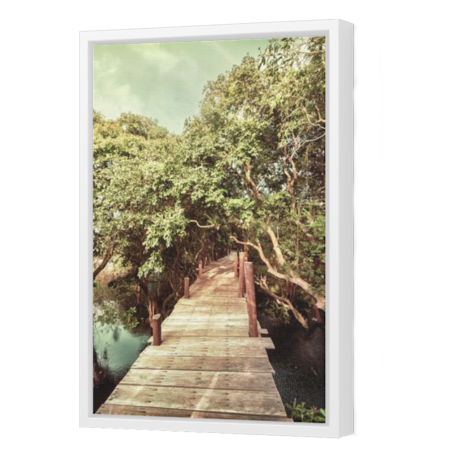 Thumbnail for Canvas - White Floating Frame