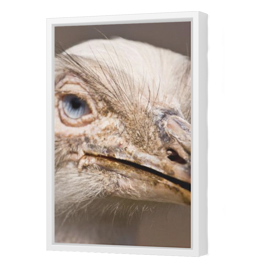Thumbnail for Canvas - White Floating Frame