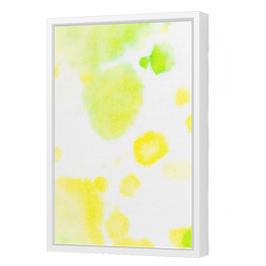 Thumbnail for Canvas - White Floating Frame