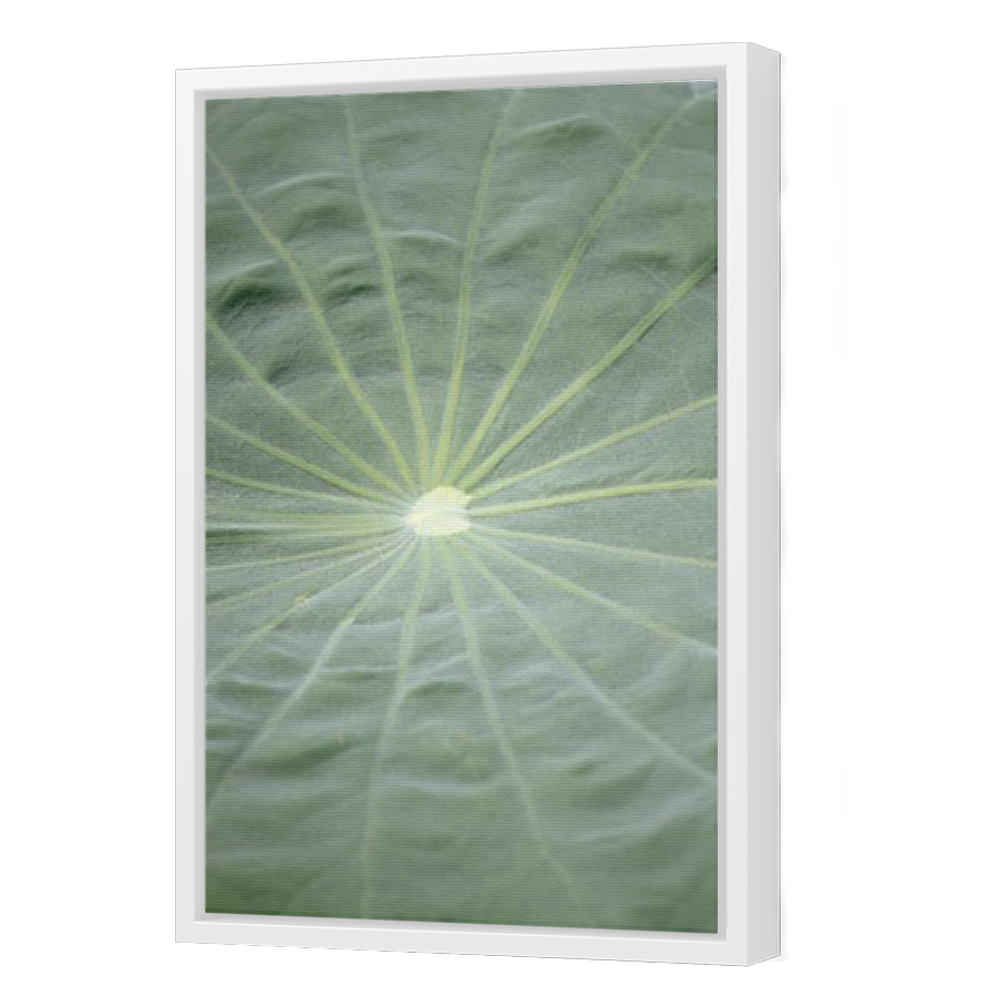 Thumbnail for Canvas - White Floating Frame