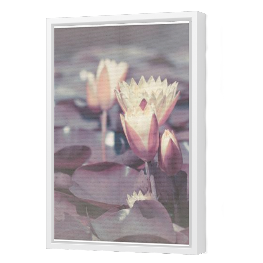 Thumbnail for Canvas - White Floating Frame