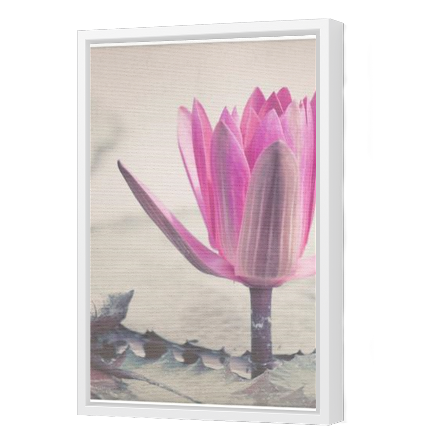Thumbnail for Canvas - White Floating Frame
