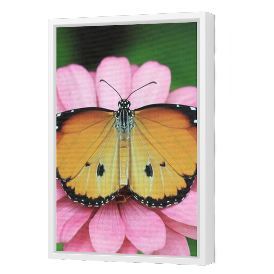 Thumbnail for Canvas - White Floating Frame