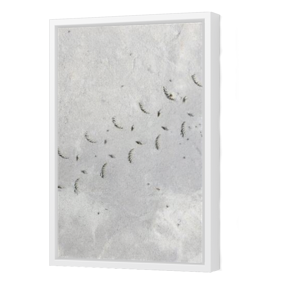 Thumbnail for Canvas - White Floating Frame