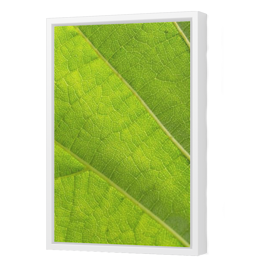 Thumbnail for Canvas - White Floating Frame