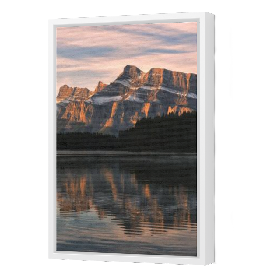 Thumbnail for Canvas - White Floating Frame