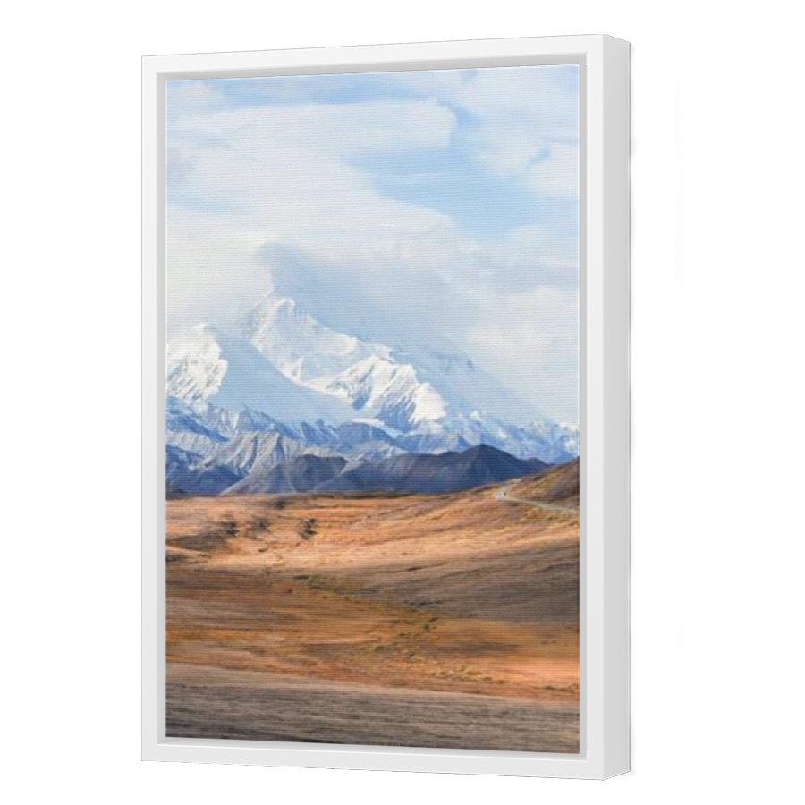 Thumbnail for Canvas - White Floating Frame