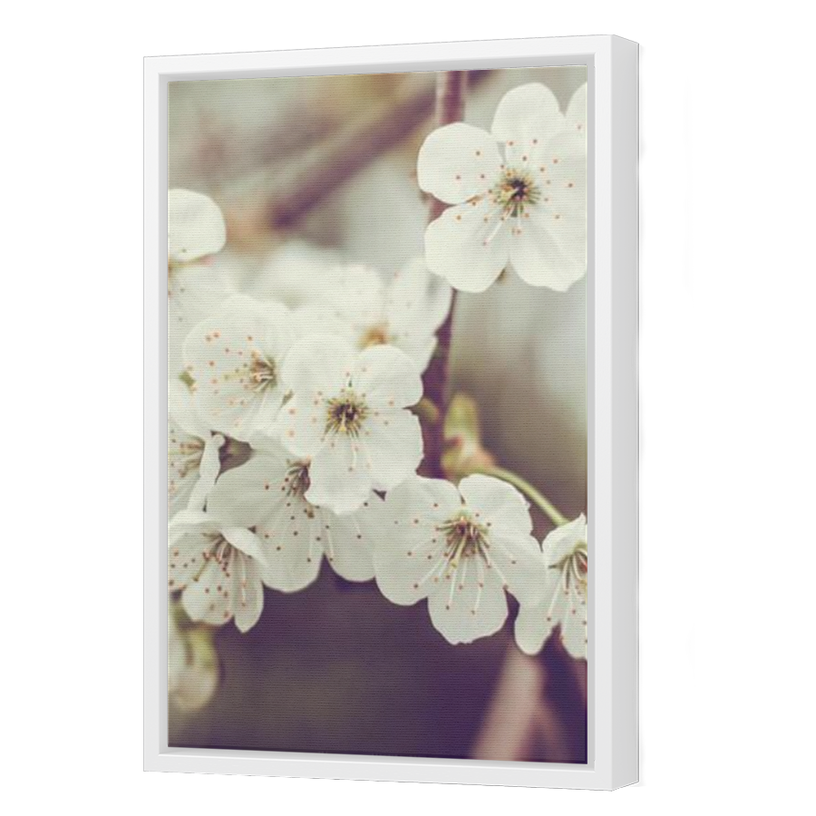 Thumbnail for Canvas - White Floating Frame