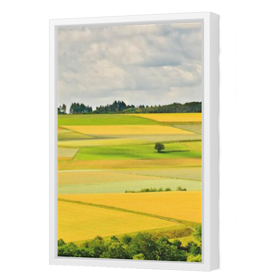 Thumbnail for Canvas - White Floating Frame