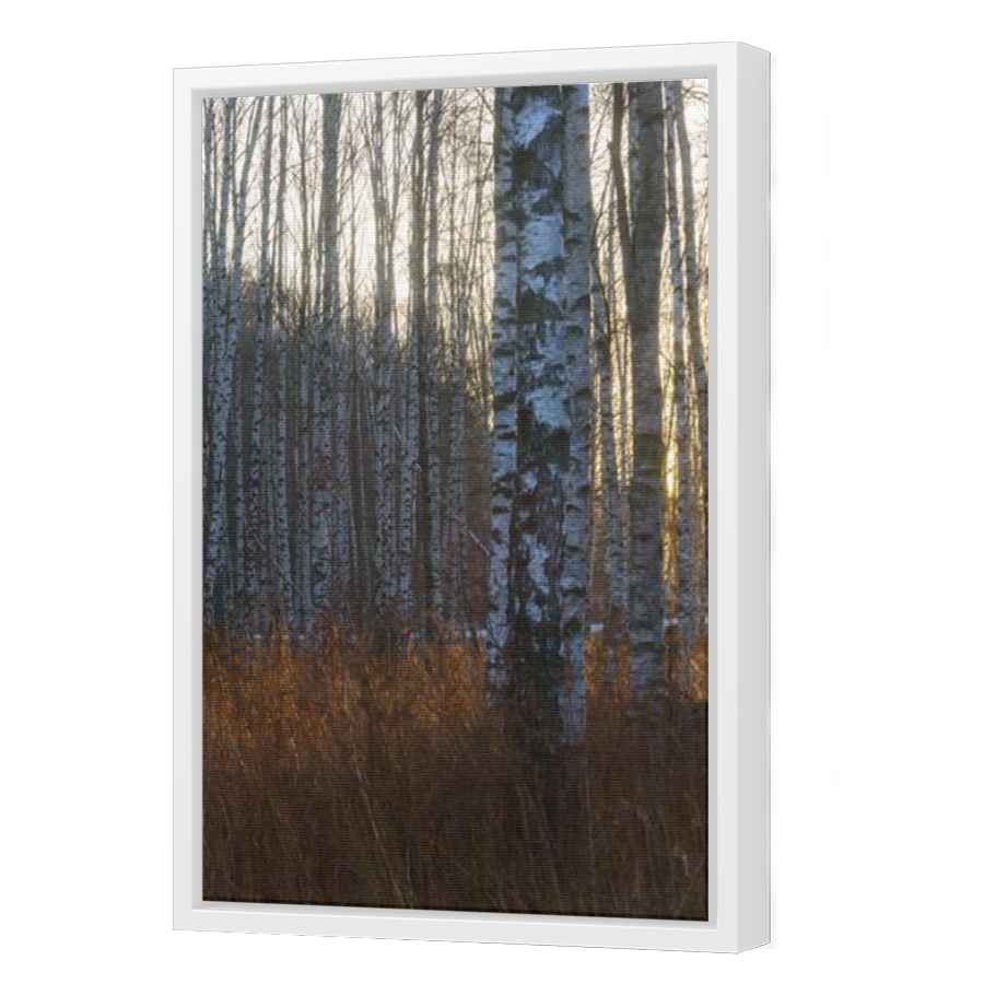 Thumbnail for Canvas - White Floating Frame