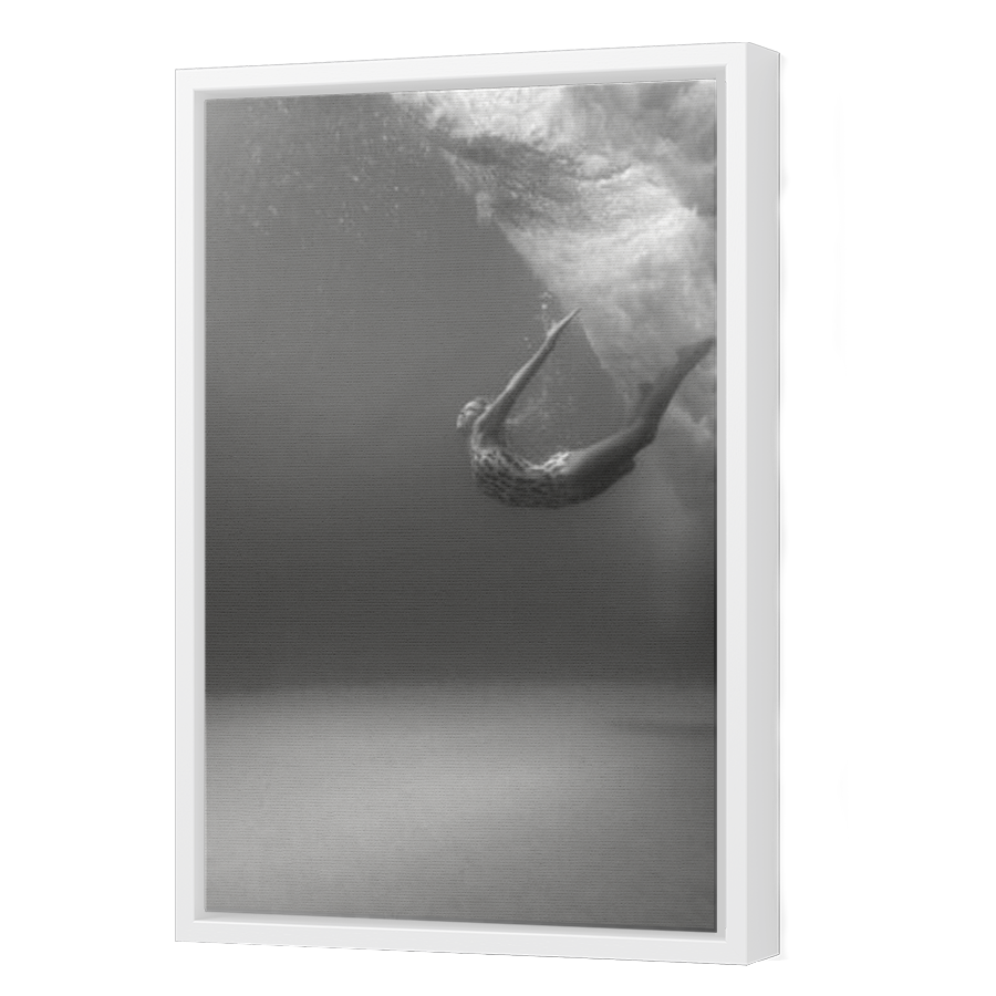 Thumbnail for Canvas - White Floating Frame