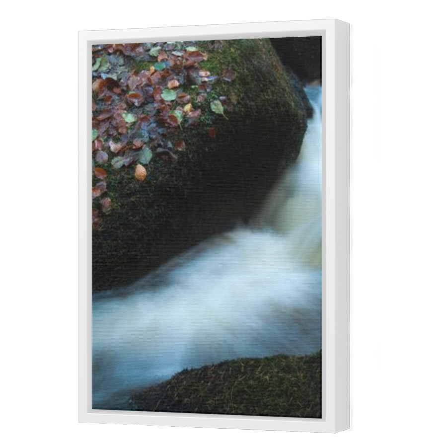 Thumbnail for Canvas - White Floating Frame