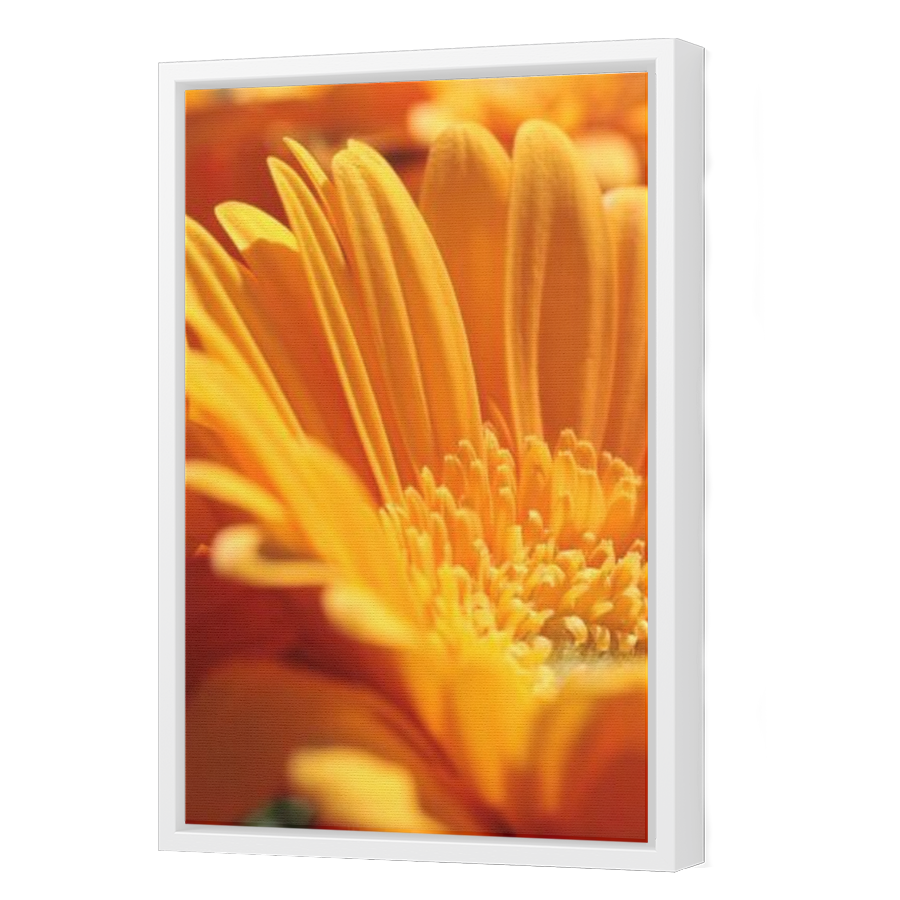 Thumbnail for Canvas - White Floating Frame