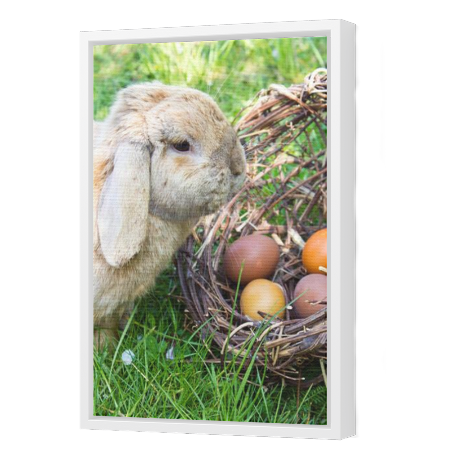 Thumbnail for Canvas - White Floating Frame