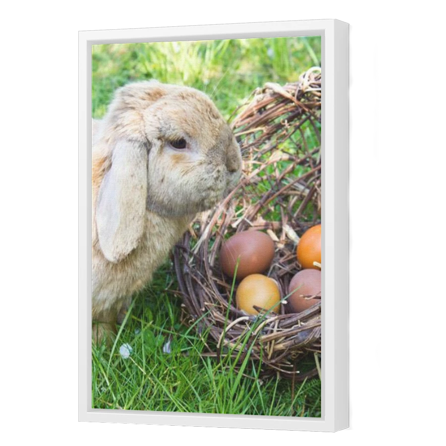 Thumbnail for Canvas - White Floating Frame