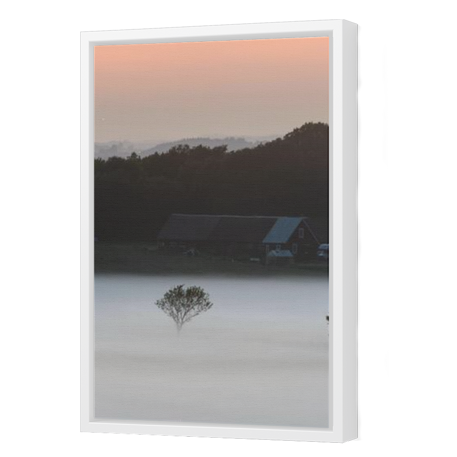 Thumbnail for Canvas - White Floating Frame