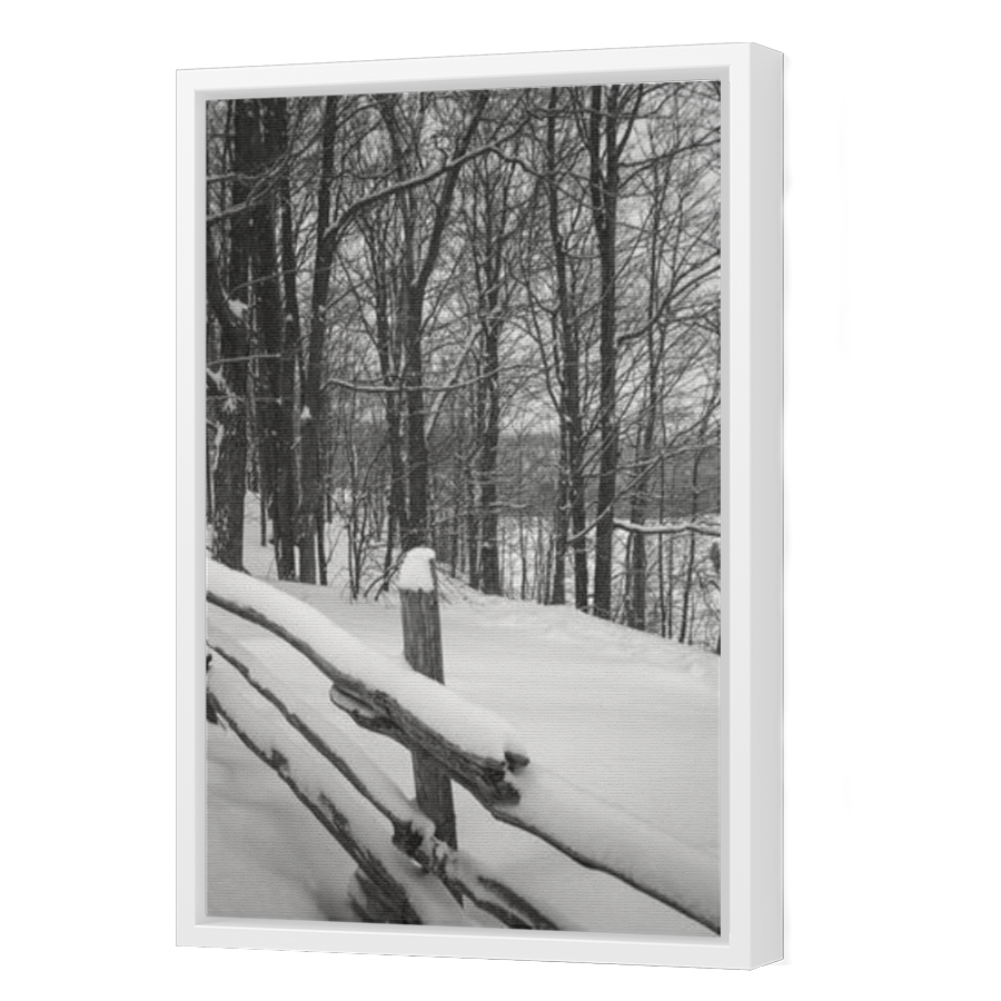 Thumbnail for Canvas - White Floating Frame
