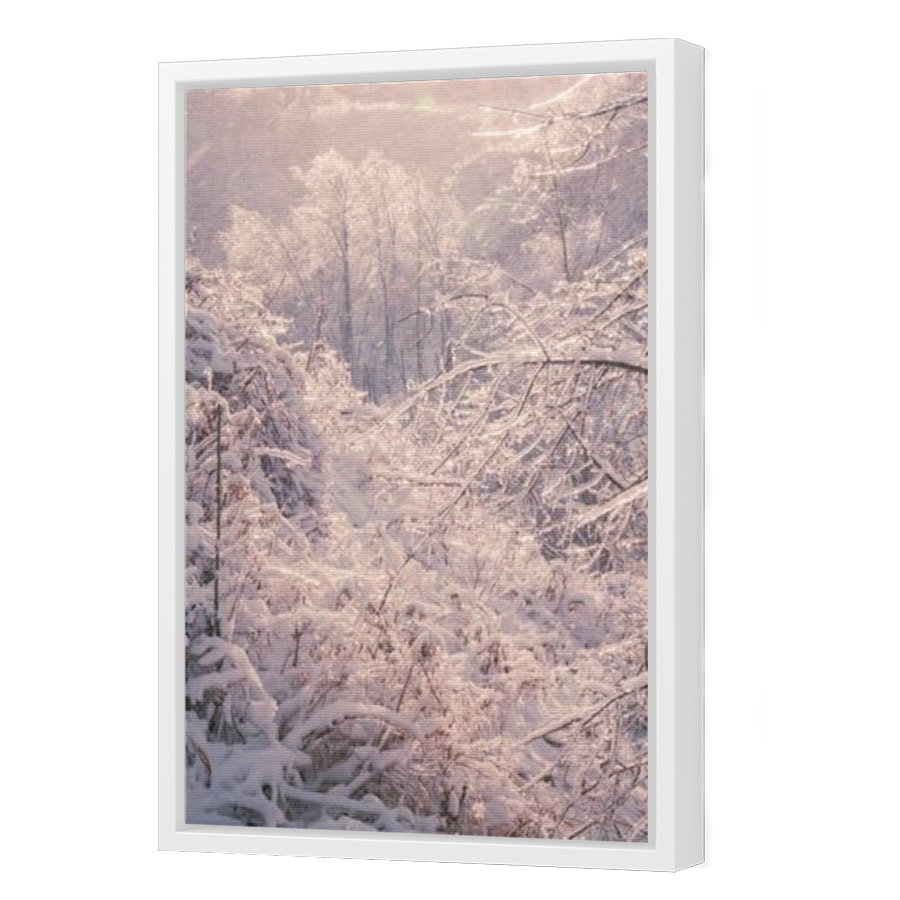 Thumbnail for Canvas - White Floating Frame