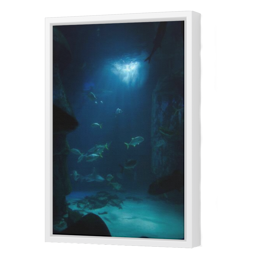 Thumbnail for Canvas - White Floating Frame