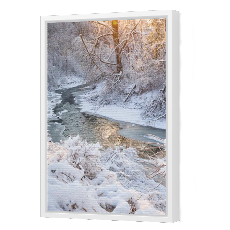 Thumbnail for Canvas - White Floating Frame