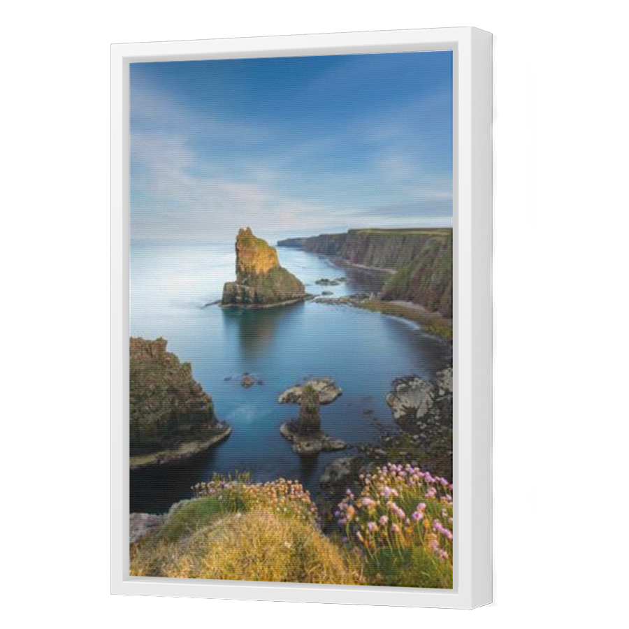 Thumbnail for Canvas - White Floating Frame