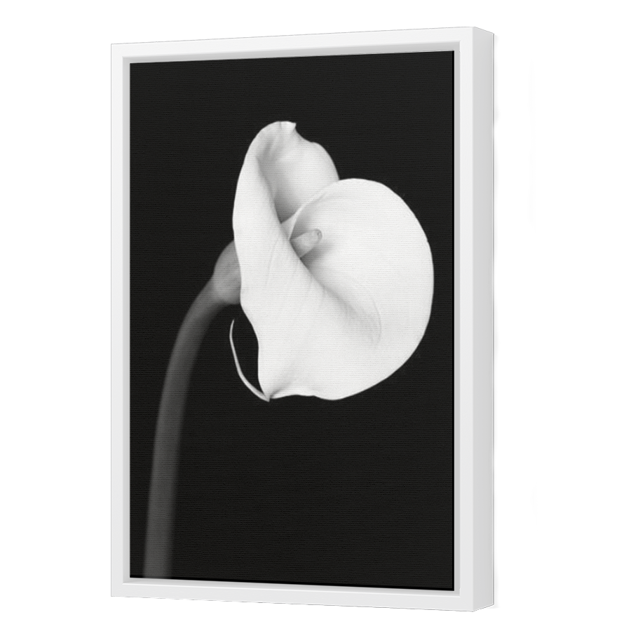 Thumbnail for Canvas - White Floating Frame