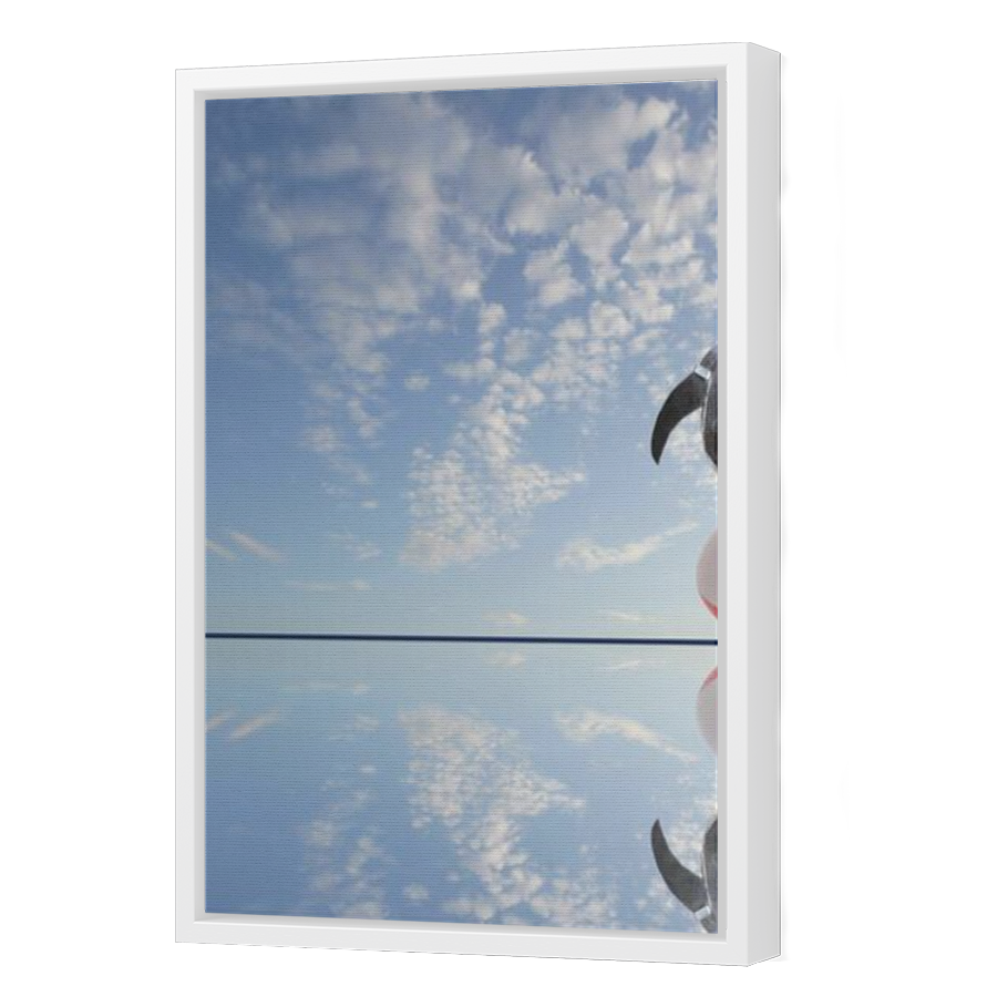 Thumbnail for Canvas - White Floating Frame