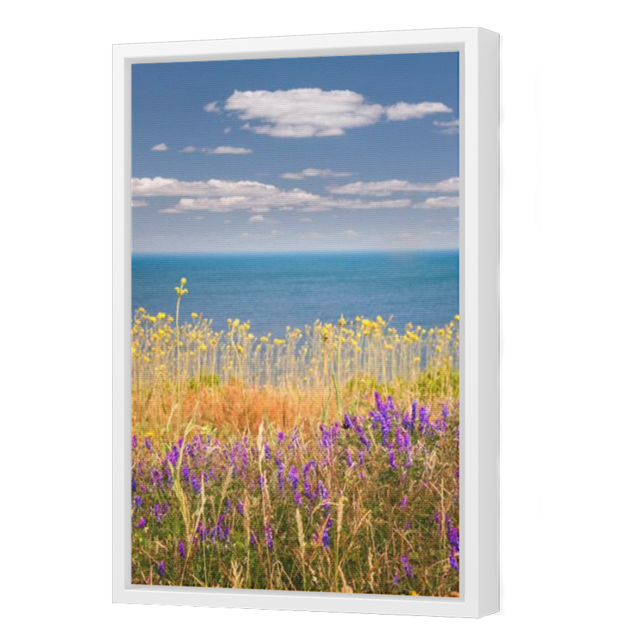 Thumbnail for Canvas - White Floating Frame