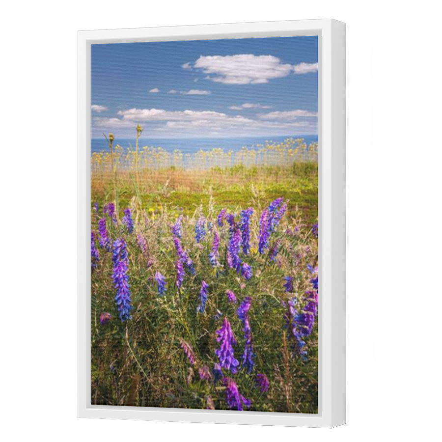 Thumbnail for Canvas - White Floating Frame