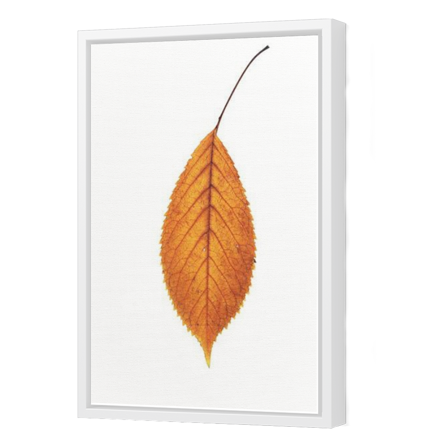 Thumbnail for Canvas - White Floating Frame