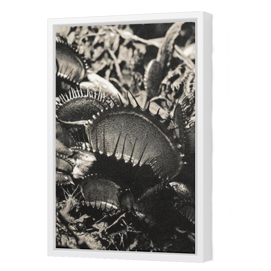 Thumbnail for Canvas - White Floating Frame