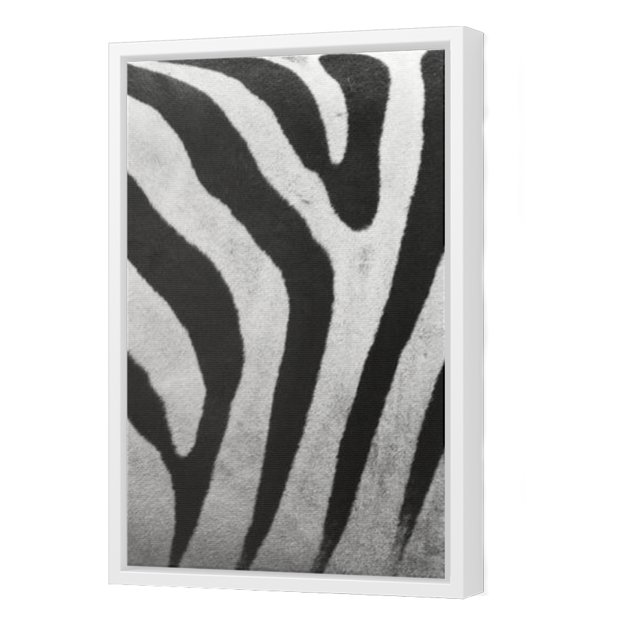 Thumbnail for Canvas - White Floating Frame