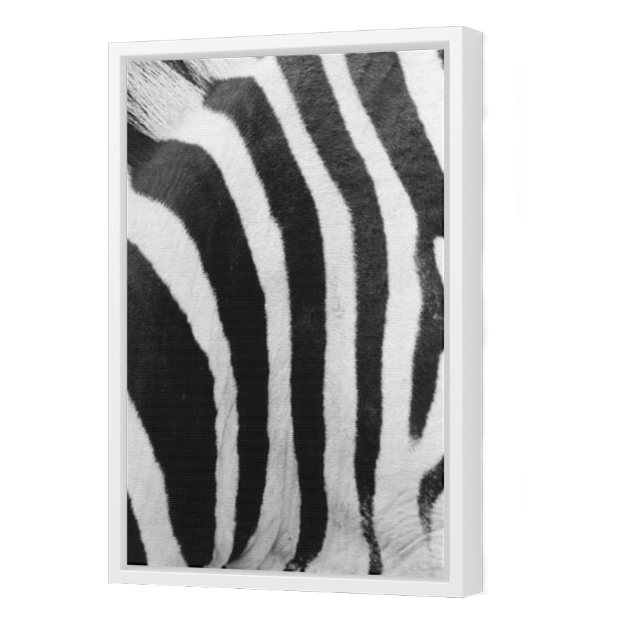 Thumbnail for Canvas - White Floating Frame