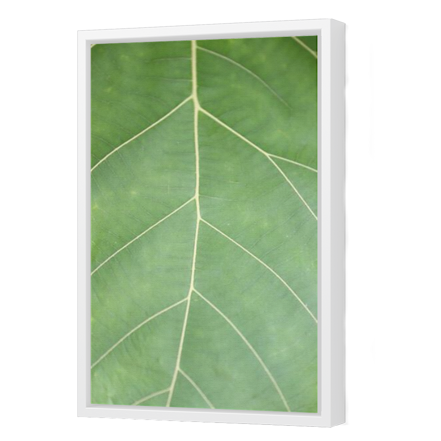 Thumbnail for Canvas - White Floating Frame