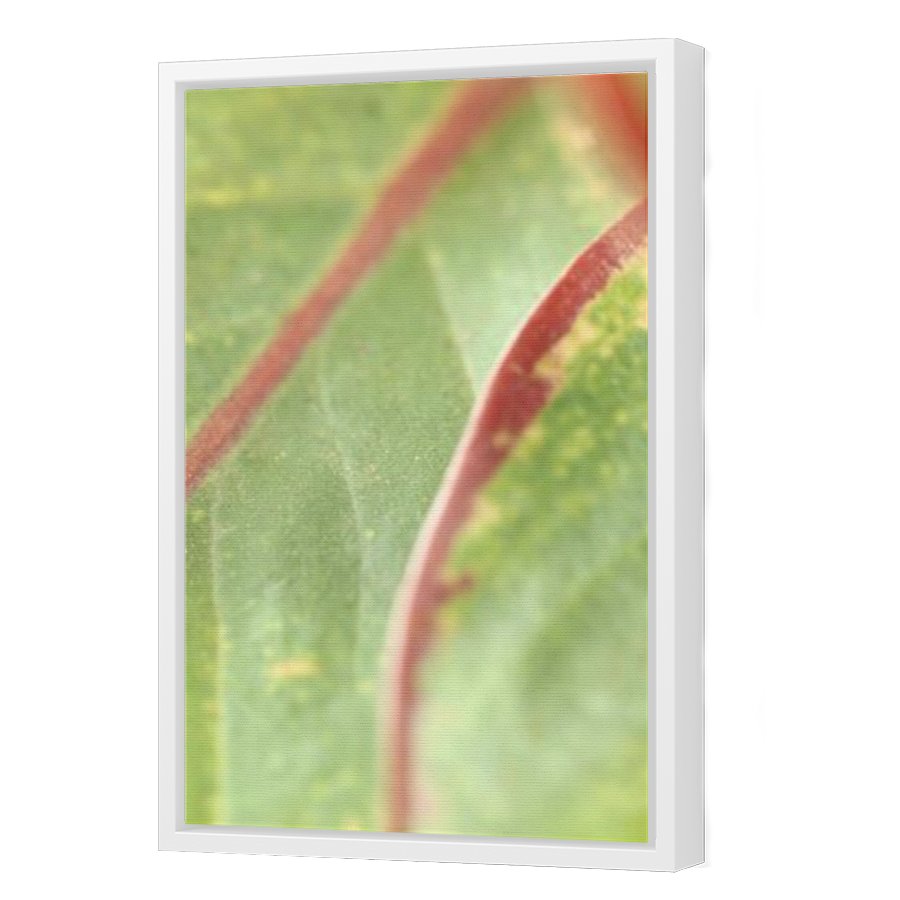 Thumbnail for Canvas - White Floating Frame