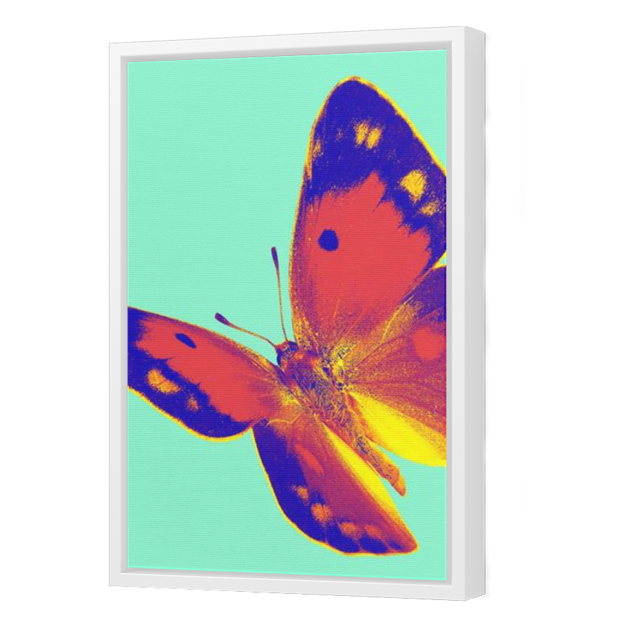 Thumbnail for Canvas - White Floating Frame