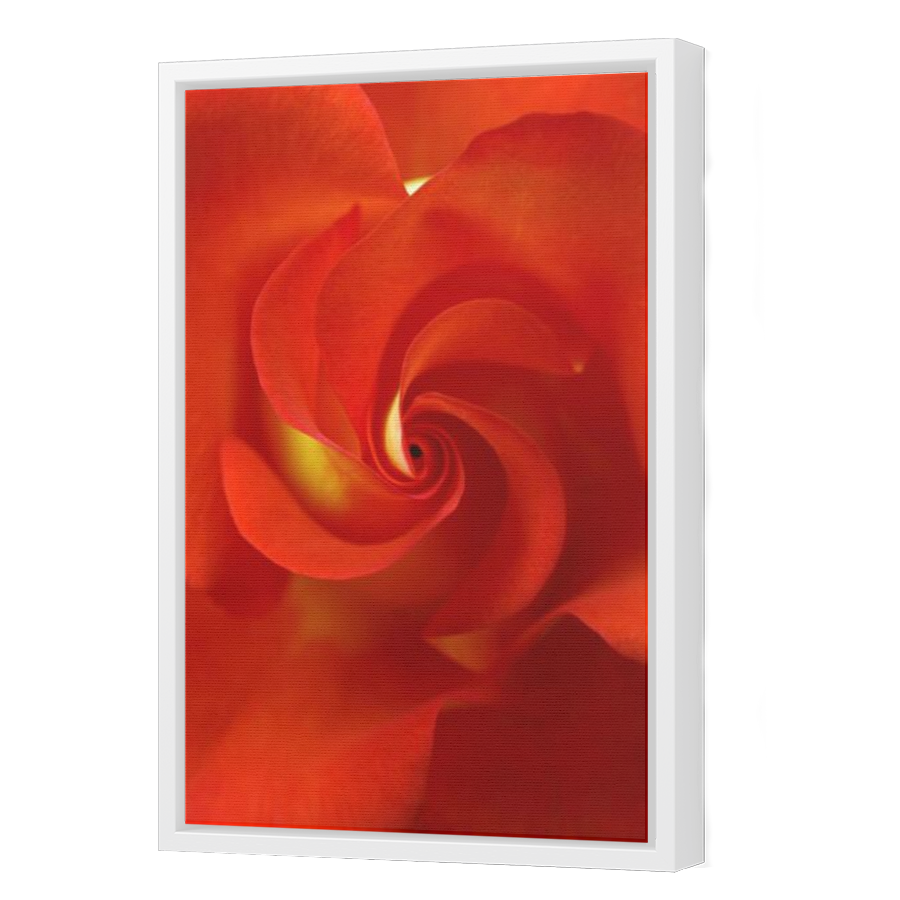 Thumbnail for Canvas - White Floating Frame
