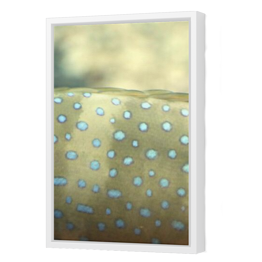 Thumbnail for Canvas - White Floating Frame
