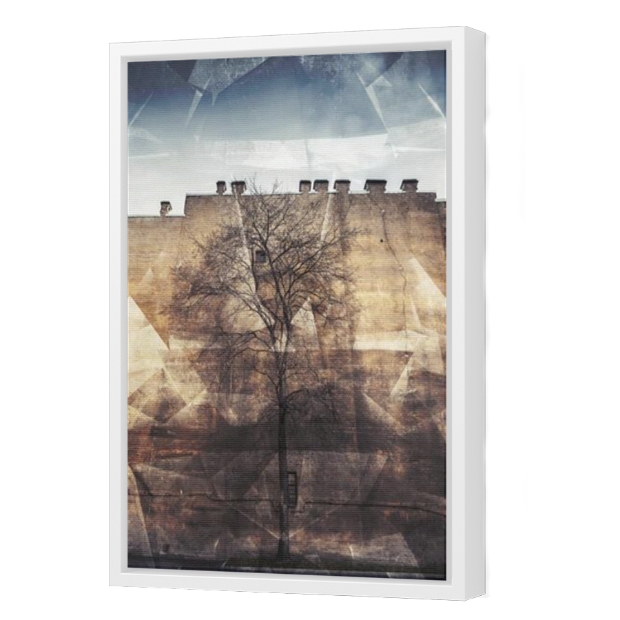 Thumbnail for Canvas - White Floating Frame