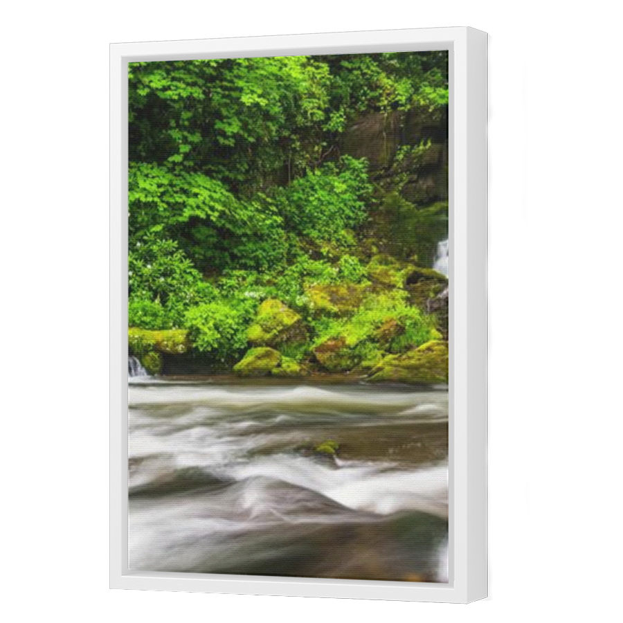 Thumbnail for Canvas - White Floating Frame